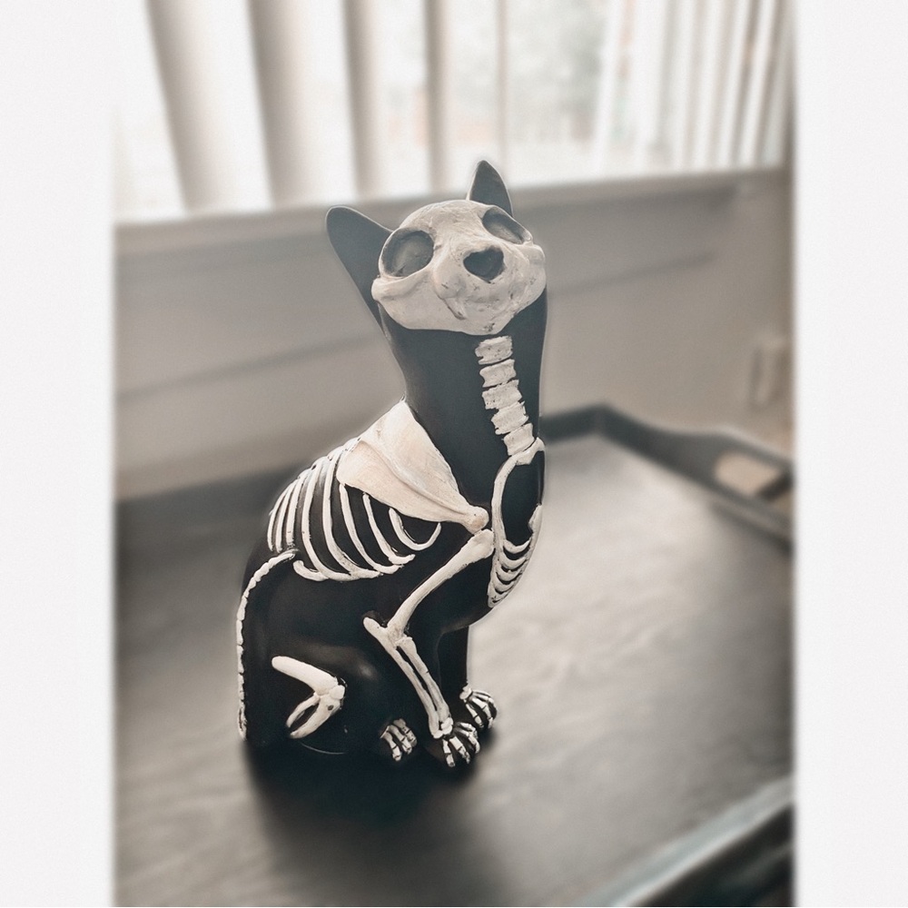 🐈‍⬛Halloween Kitty 🐈‍⬛